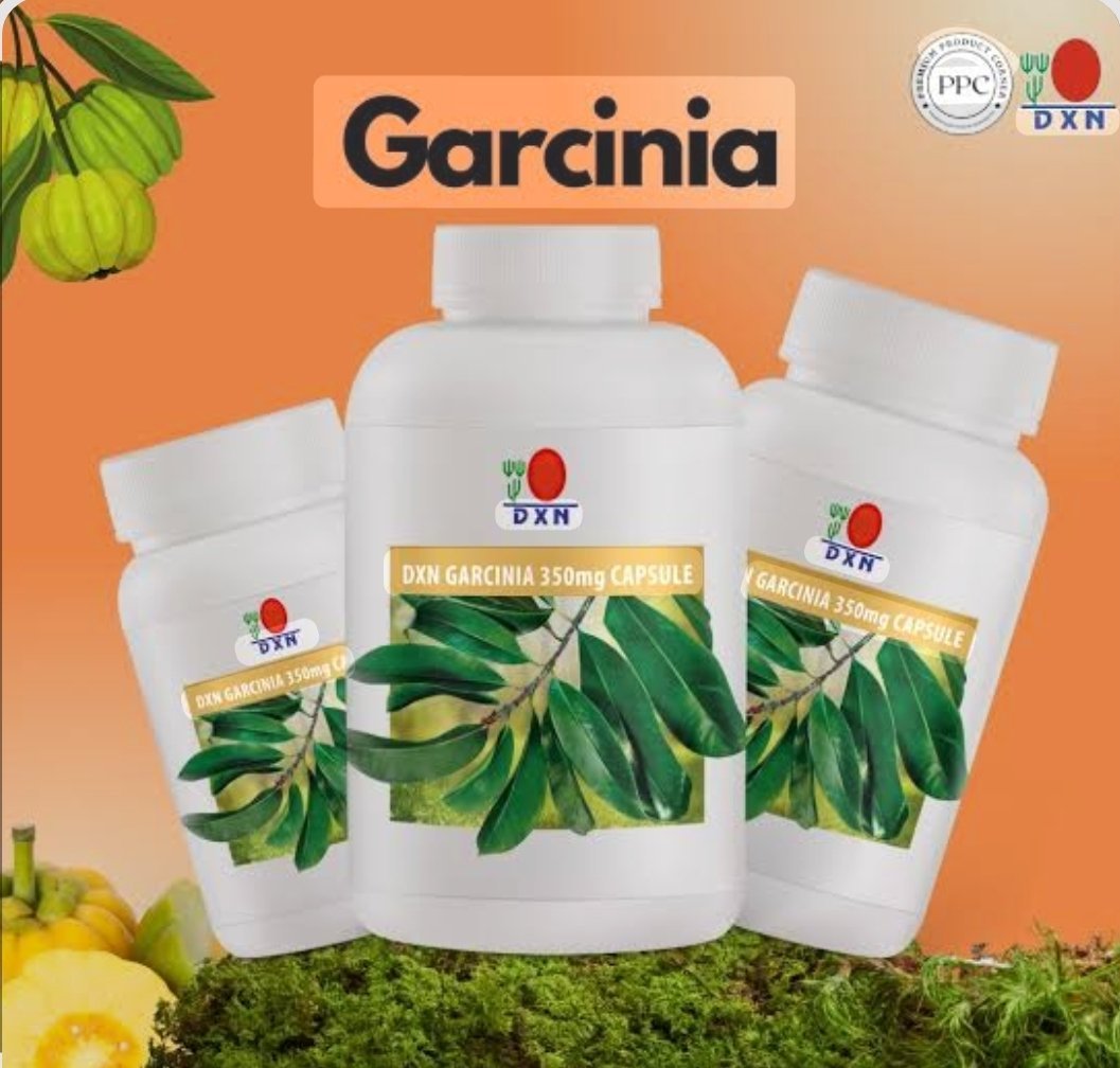 1001407659.jpg Garcinia dxn 90 capsules – Image 1