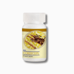 CORDYCEPSE   30g poudre