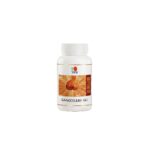 reishi GL 90 capsules – Image 2